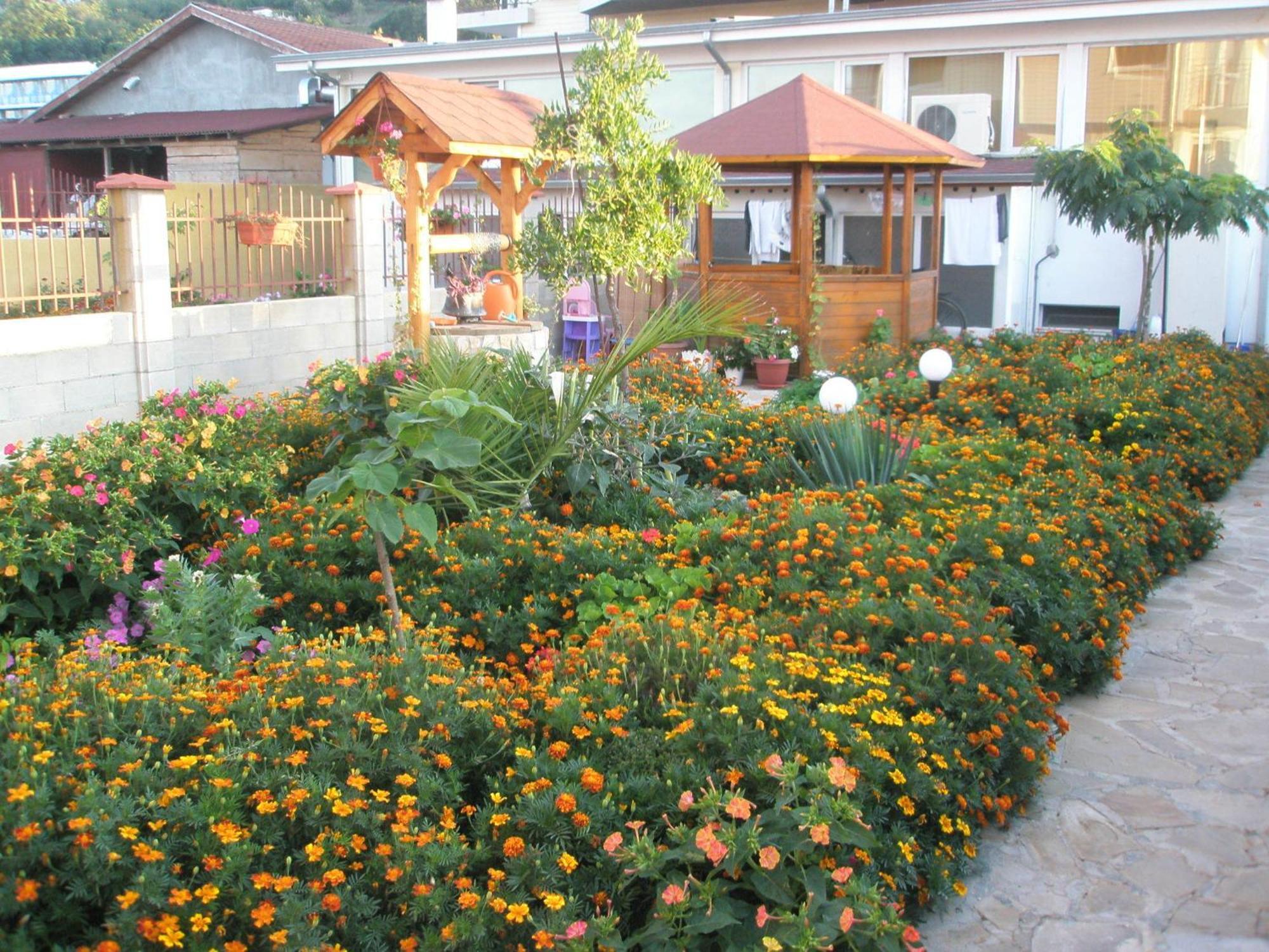 Hotel Morski Dar Kranevo Exterior photo